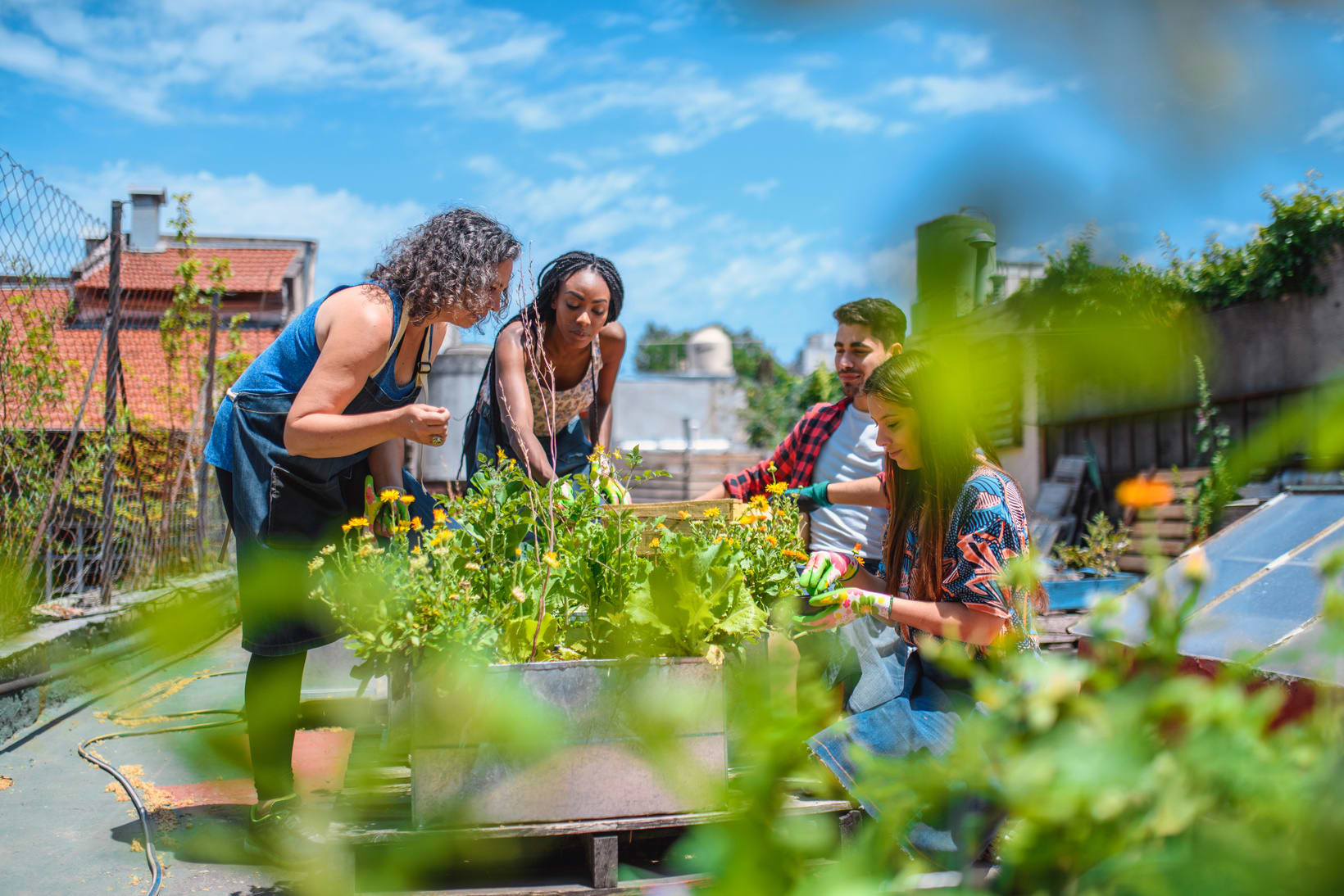 gardening activity